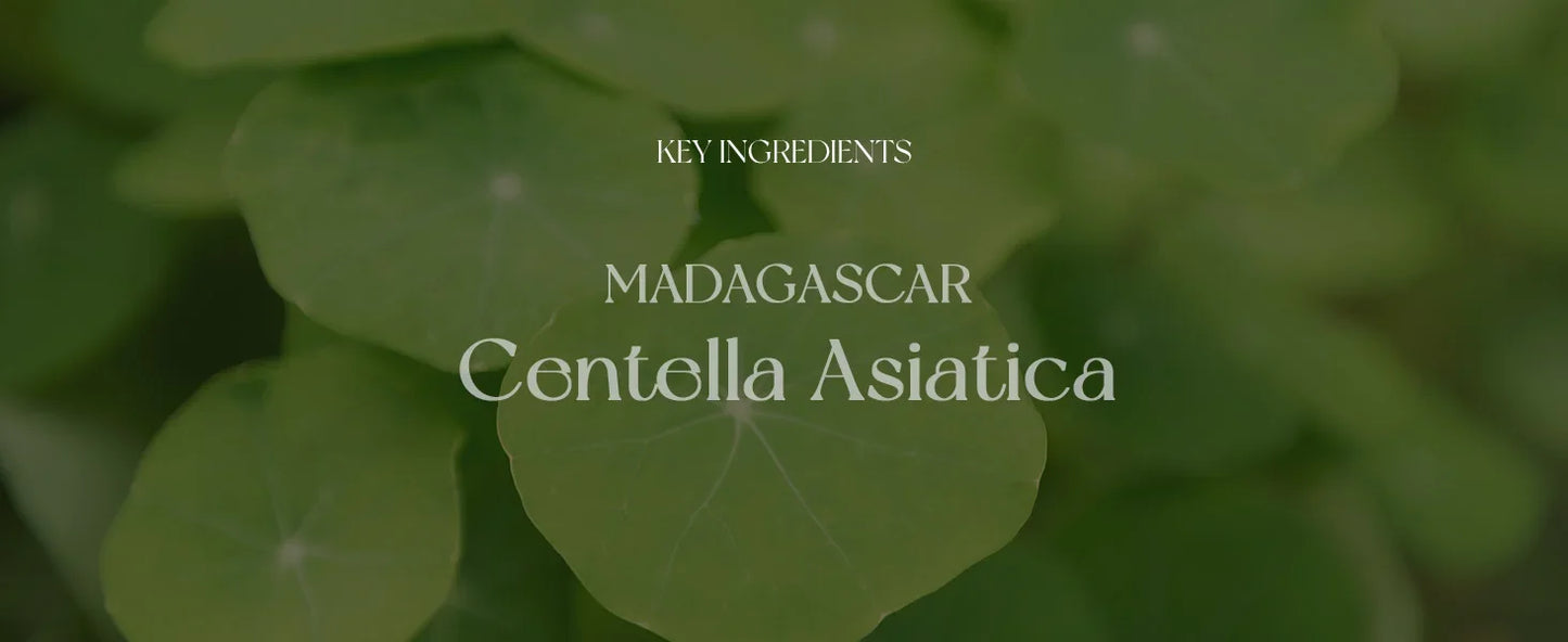 SKIN1004 Madagascar Centella Asiatica Ampoule Facial Serum 100ml