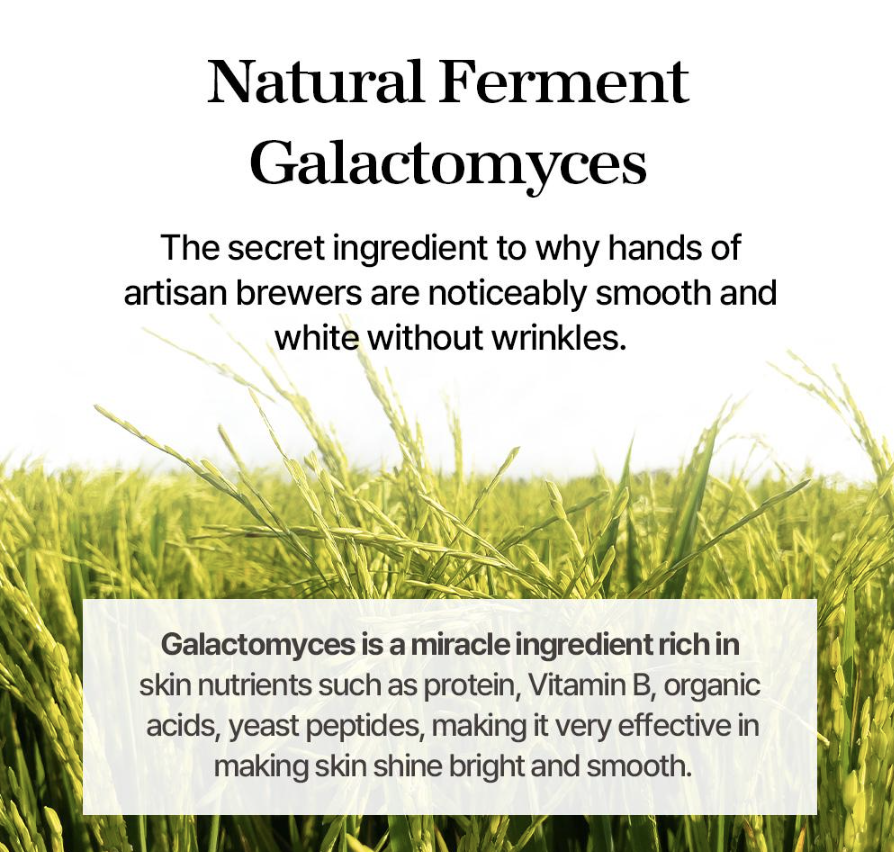 Mixsoon Galatonyces Ferment Essence 100mL