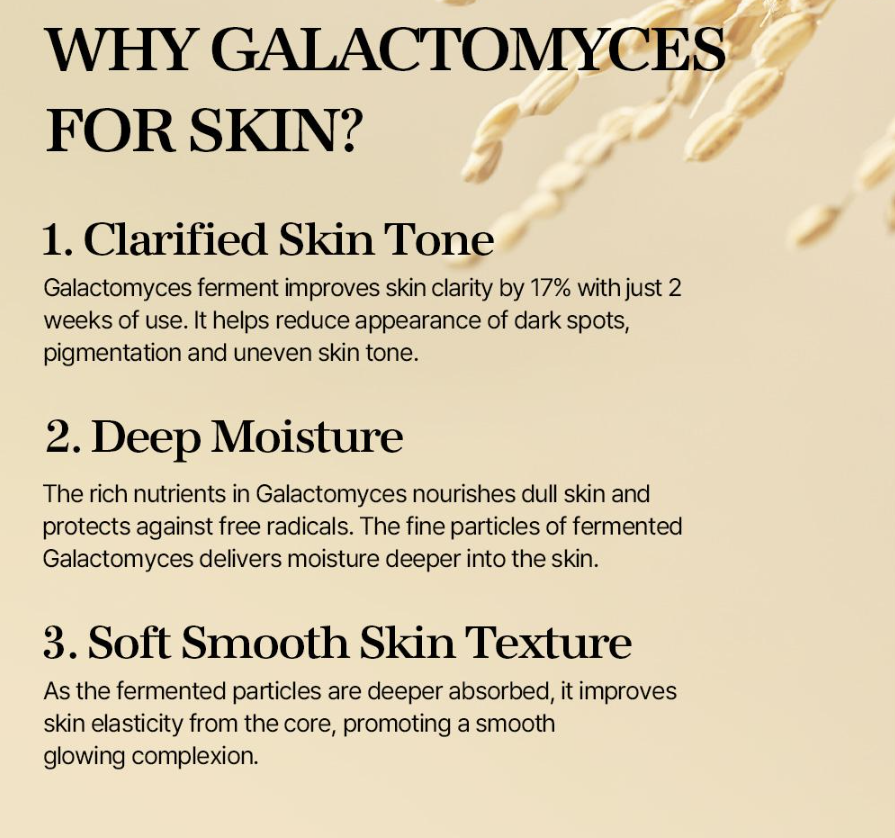 Mixsoon Galatonyces Ferment Essence 100mL