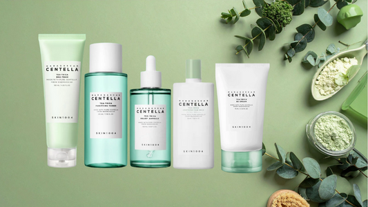 SKIN1004 Madagascar Centella Tea-Trica Soothing & Purifying Set